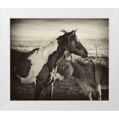 Kissing Horses II White Modern Wood Framed Art Print by Drost, David