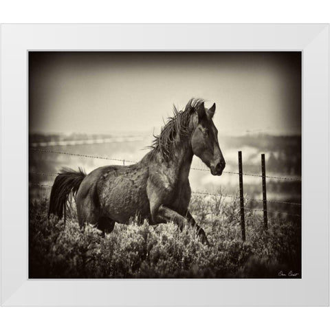 Running Horse White Modern Wood Framed Art Print by Drost, David