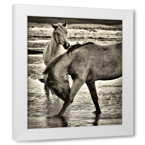 Beach Horses I White Modern Wood Framed Art Print by Drost, David