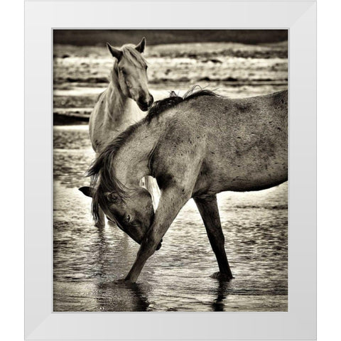 Beach Horses I White Modern Wood Framed Art Print by Drost, David
