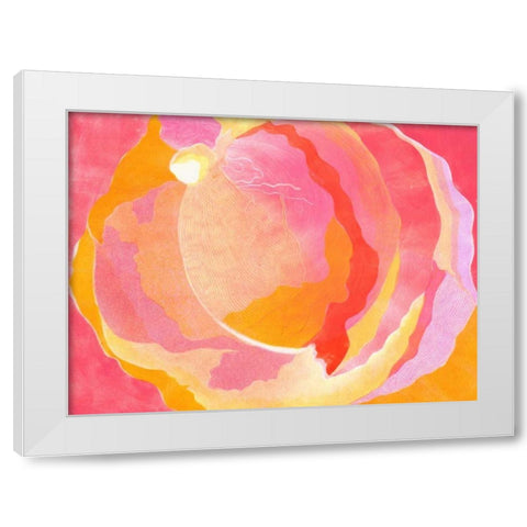 Cabbage Rose III White Modern Wood Framed Art Print by Roth, Carolyn