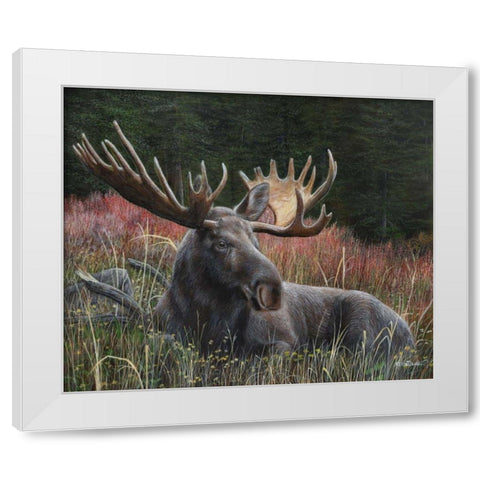 Recumbent Moose White Modern Wood Framed Art Print by Daniel, Kevin