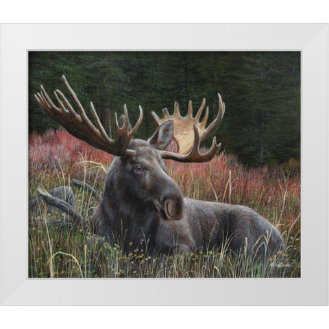 Recumbent Moose White Modern Wood Framed Art Print by Daniel, Kevin