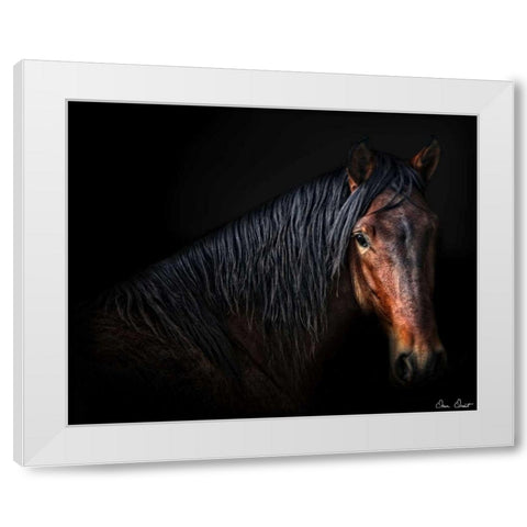 Horse Portrait VII White Modern Wood Framed Art Print by Drost, David