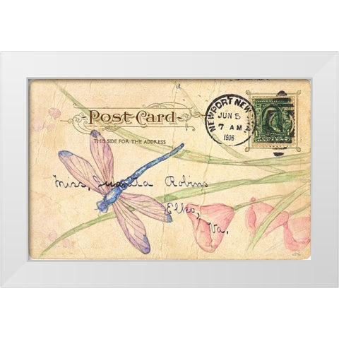Postcard Dragonfly II White Modern Wood Framed Art Print by Pallan, Nancy S.