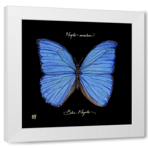 Striking Butterfly I White Modern Wood Framed Art Print by Joyner, Ginny