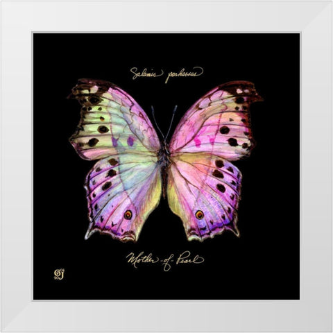 Striking Butterfly III White Modern Wood Framed Art Print by Joyner, Ginny