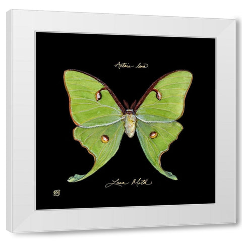 Striking Butterfly IV White Modern Wood Framed Art Print by Joyner, Ginny