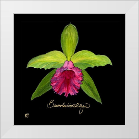 Vivid Orchid I White Modern Wood Framed Art Print by Joyner, Ginny