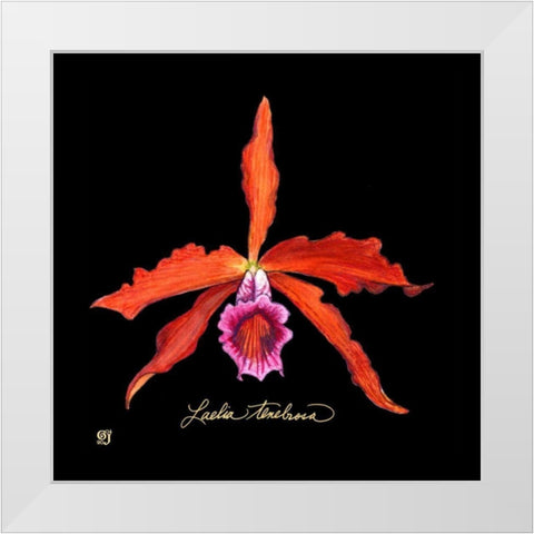 Vivid Orchid II White Modern Wood Framed Art Print by Joyner, Ginny