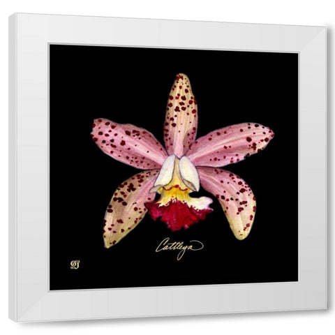 Vivid Orchid III White Modern Wood Framed Art Print by Joyner, Ginny