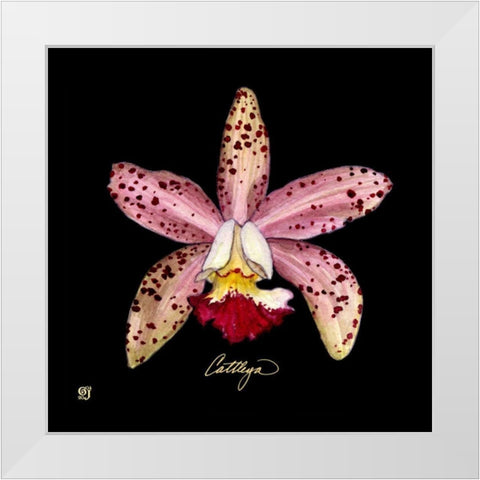 Vivid Orchid III White Modern Wood Framed Art Print by Joyner, Ginny