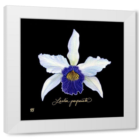 Vivid Orchid IV White Modern Wood Framed Art Print by Joyner, Ginny