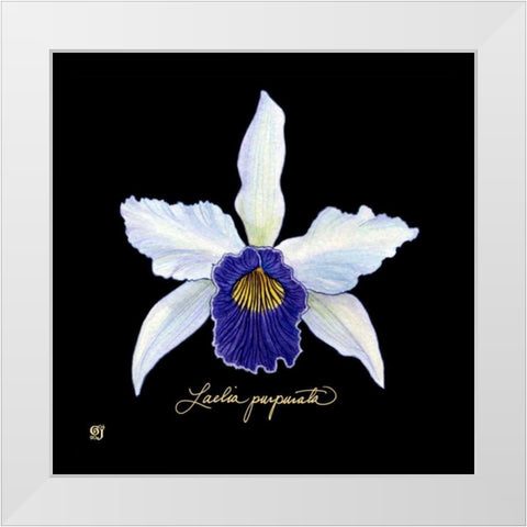 Vivid Orchid IV White Modern Wood Framed Art Print by Joyner, Ginny