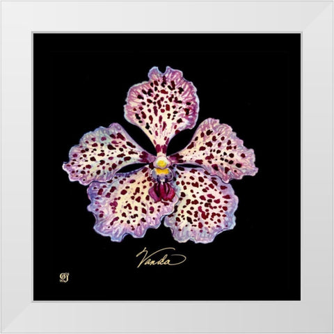 Vivid Orchid V White Modern Wood Framed Art Print by Joyner, Ginny