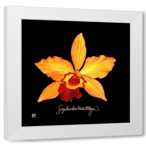 Vivid Orchid VI White Modern Wood Framed Art Print by Joyner, Ginny