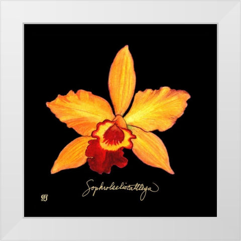 Vivid Orchid VI White Modern Wood Framed Art Print by Joyner, Ginny