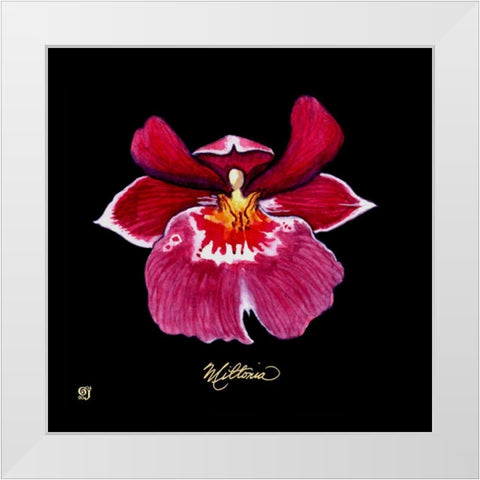 Vivid Orchid VIII White Modern Wood Framed Art Print by Joyner, Ginny