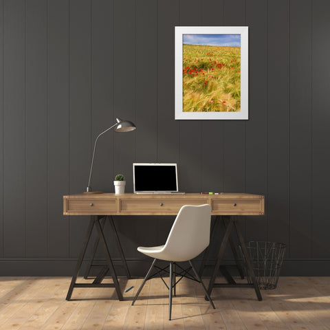 Poppies in Field II White Modern Wood Framed Art Print by Chester, Colby