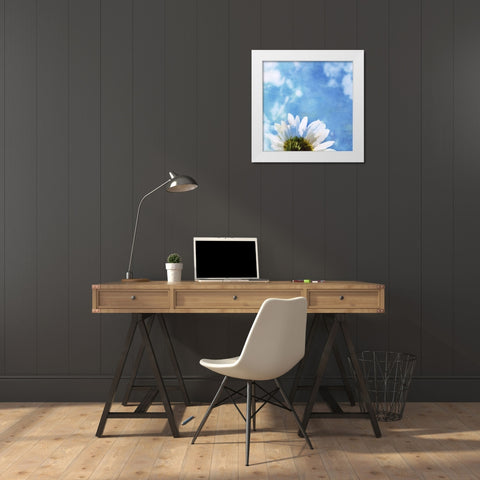 Daisies III White Modern Wood Framed Art Print by Blixt, Ingrid