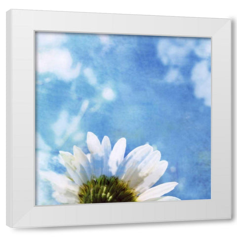 Daisies III White Modern Wood Framed Art Print by Blixt, Ingrid