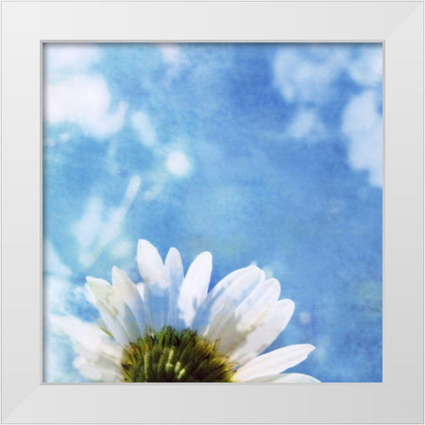 Daisies III White Modern Wood Framed Art Print by Blixt, Ingrid