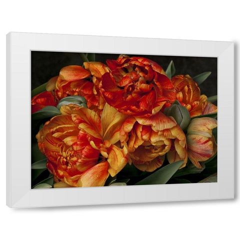 Old World Tulips II White Modern Wood Framed Art Print by Perry, Rachel