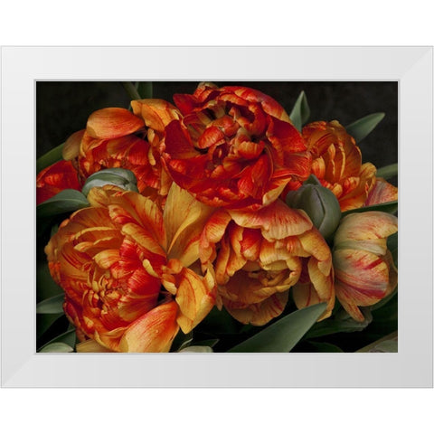 Old World Tulips II White Modern Wood Framed Art Print by Perry, Rachel