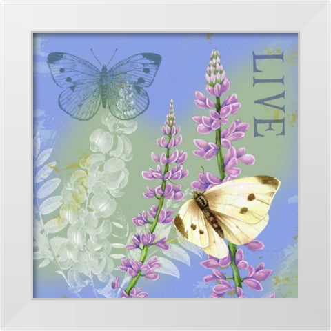 Butterflies Inspire I White Modern Wood Framed Art Print by Maday, Jane
