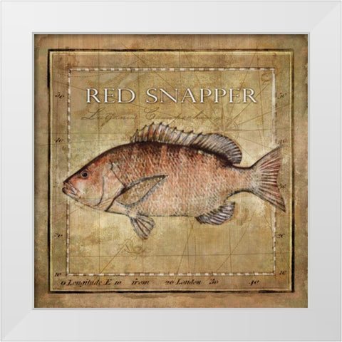 Ocean Fish VII White Modern Wood Framed Art Print by Beth Anne Creative