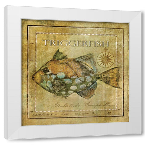 Ocean Fish XI White Modern Wood Framed Art Print by Beth Anne Creative