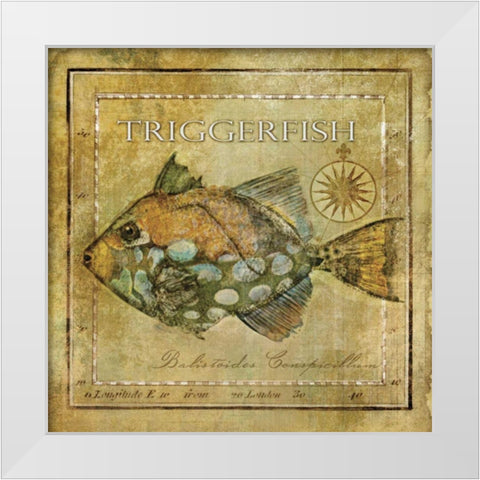 Ocean Fish XI White Modern Wood Framed Art Print by Beth Anne Creative