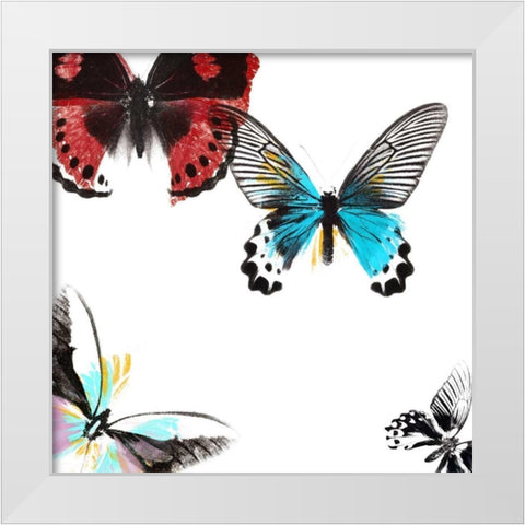 Butterflies Dance I White Modern Wood Framed Art Print by Project, A.