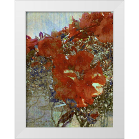 Tangled I White Modern Wood Framed Art Print by Harrington, Danielle