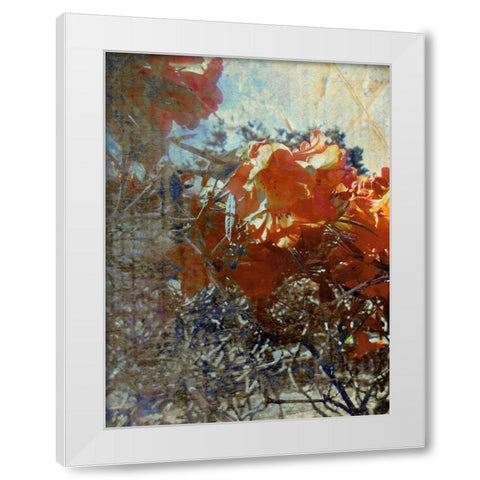 Tangled II White Modern Wood Framed Art Print by Harrington, Danielle