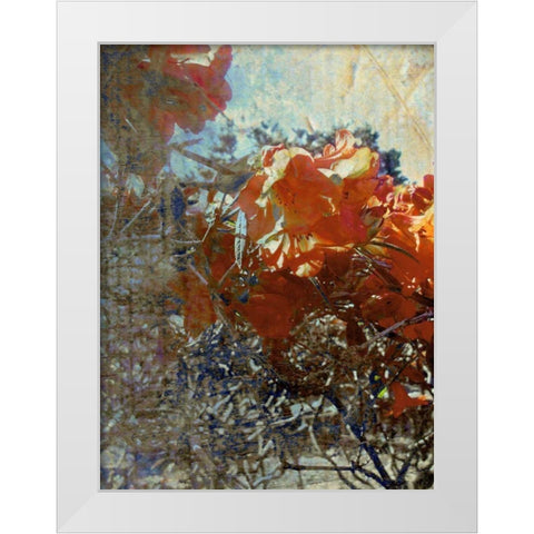 Tangled II White Modern Wood Framed Art Print by Harrington, Danielle