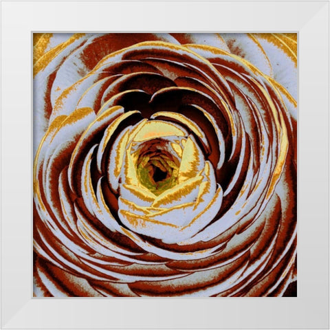 Lavinia I White Modern Wood Framed Art Print by Harrington, Danielle