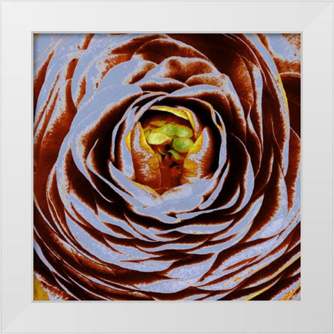 Lavinia II White Modern Wood Framed Art Print by Harrington, Danielle
