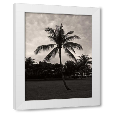 Palms at Night II White Modern Wood Framed Art Print by Ling, Tang