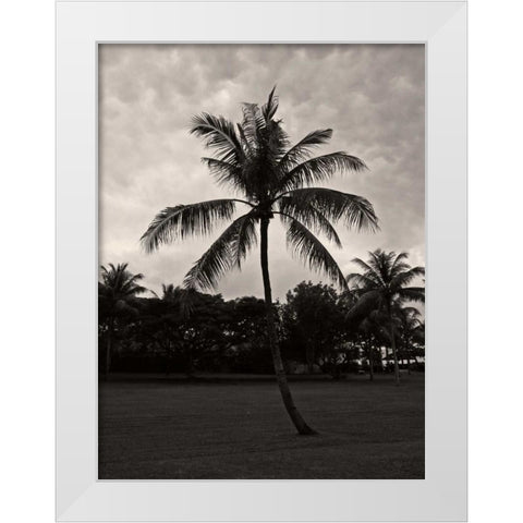 Palms at Night II White Modern Wood Framed Art Print by Ling, Tang