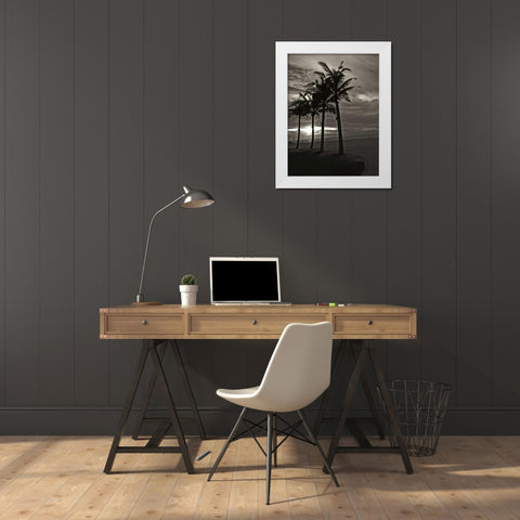 Palms at Night III White Modern Wood Framed Art Print by Ling, Tang