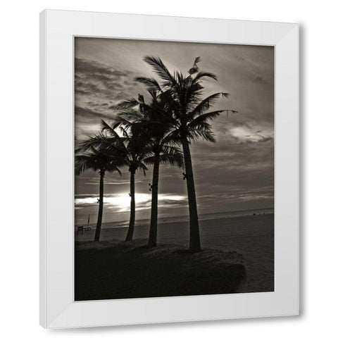 Palms at Night III White Modern Wood Framed Art Print by Ling, Tang