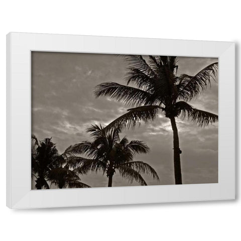 Palms at Night IV White Modern Wood Framed Art Print by Ling, Tang