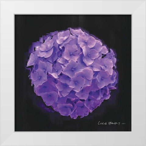 Vibrant Flower I White Modern Wood Framed Art Print by Henry, Lola
