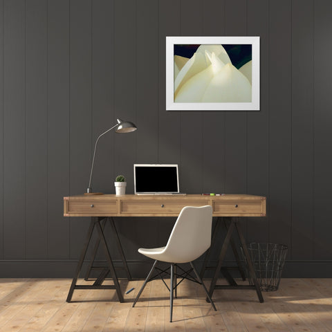 Lotus Detail III White Modern Wood Framed Art Print by Christensen, Jim