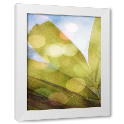 Tropical Daydream II White Modern Wood Framed Art Print by Robinson, Emily