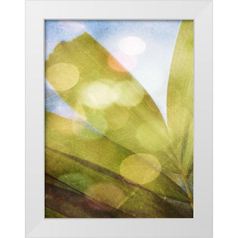 Tropical Daydream II White Modern Wood Framed Art Print by Robinson, Emily