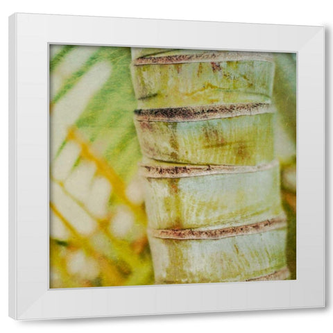 Tropical Texture II White Modern Wood Framed Art Print by Robinson, Emily