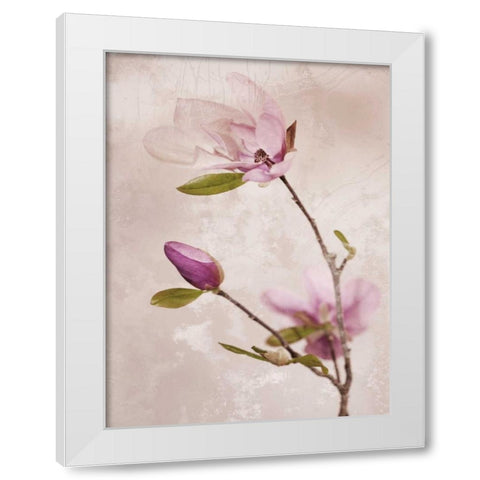 Tulip Blush I White Modern Wood Framed Art Print by Zalewski, Christine