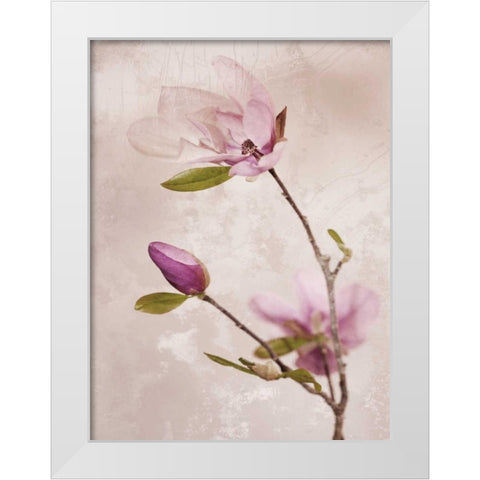 Tulip Blush I White Modern Wood Framed Art Print by Zalewski, Christine